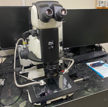 システム実体顕微鏡及び顕微鏡デジタルカメラ